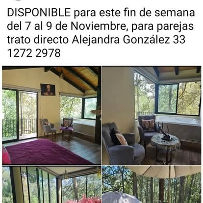 Vista de la cabaña Nala entre los pinos